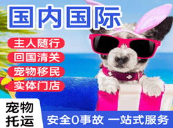 三明沙县机场邮寄国际宠物托运 【国